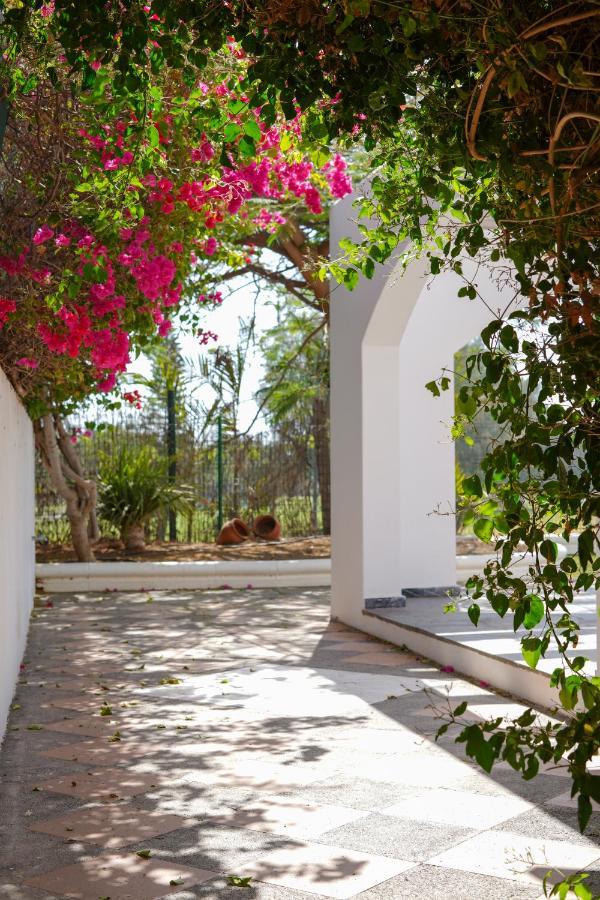 Villas Las Almenas Maspalomas  Dış mekan fotoğraf